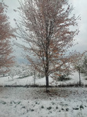 Enlarge photo 29