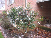 Enlarge photo 13