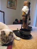 Enlarge photo 15