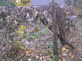 Enlarge photo 30