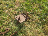 Enlarge photo 17