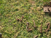Enlarge photo 20