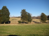 Enlarge photo 30