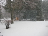 Enlarge photo 26