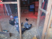 Enlarge photo 9