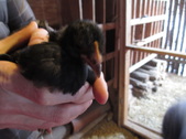 Enlarge photo 23
