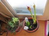 Enlarge photo 2