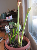 Enlarge photo 3