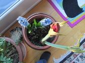 Enlarge photo 13