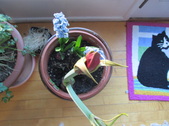 Enlarge photo 14