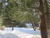 Enlarge photo 28