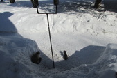 Enlarge photo 28