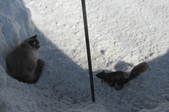 Enlarge photo 29