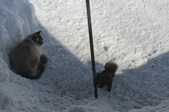 Enlarge photo 30