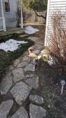 Enlarge photo 18