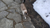 Enlarge photo 22
