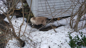 Enlarge photo 28