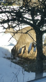 Enlarge photo 25