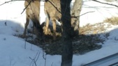 Enlarge photo 30