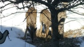 Enlarge photo 29