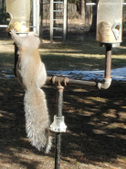 Enlarge photo 10