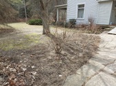 Enlarge photo 30