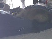 Enlarge photo 19