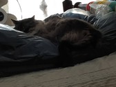 Enlarge photo 21