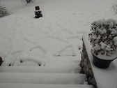 Enlarge photo 25