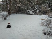 Enlarge photo 26