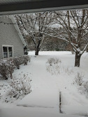 Enlarge photo 27