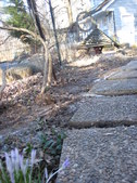 Enlarge photo 18
