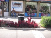 Enlarge photo 7