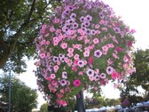 Frankenmuth