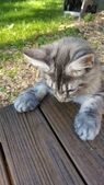 Enlarge photo 29