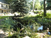 Enlarge photo 13