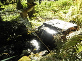 Enlarge photo 15