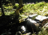 Enlarge photo 16