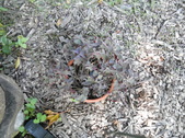 Enlarge photo 18