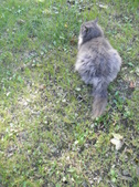 Enlarge photo 22