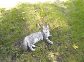 Enlarge photo 23