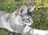 Enlarge photo 25