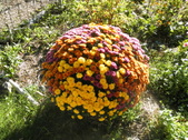 Enlarge photo 2
