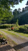 Roo's Garden