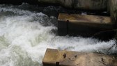 Enlarge photo 18