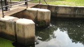 Enlarge photo 20