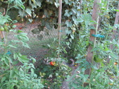 Enlarge photo 13