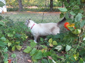 Enlarge photo 16