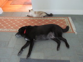 Enlarge photo 3