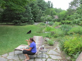Enlarge photo 6